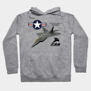 f22 fighter design Hoodie